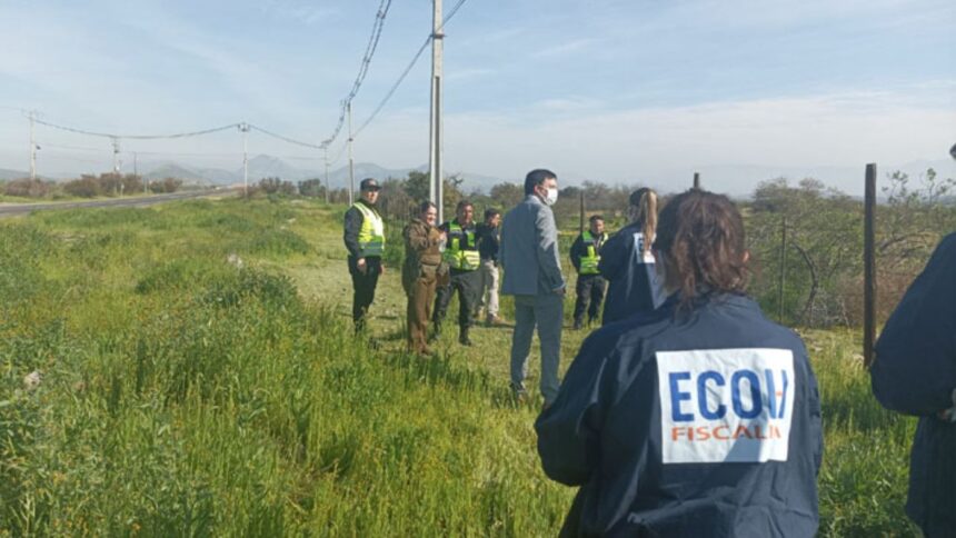 Descubren osamentas humanas en avanzado estado de descomposición en Colina: Investigación en curso