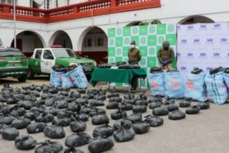 Decomisan más de 320 kilos de marihuana procesada en control vehicular en el Choapa