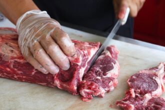 Oportunidades de empleo temporal en Fiestas Patrias: cómo postular y ganar dinero extra