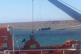 Camión argentino cae al agua durante embarque en Bahía Azul
