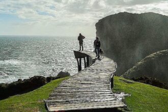 Mujer desaparecida en Chiloé es encontrada viva en quebrada