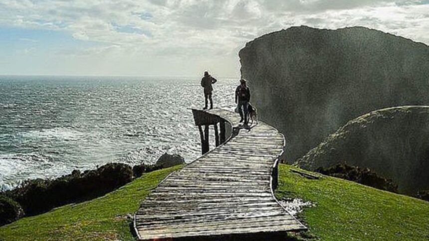 Mujer desaparecida en Chiloé es encontrada viva en quebrada