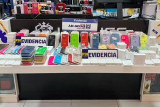Decenas de productos falsificados de Apple incautados en Concepción