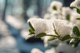 Nieve sorprende a Santiago: Comunas afectadas y bajas temperaturas persisten