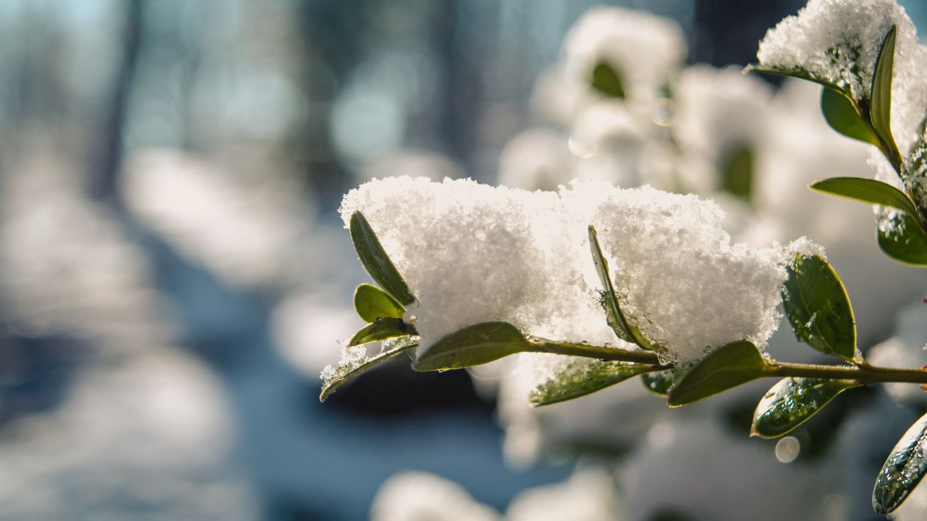 Nieve sorprende a Santiago: Comunas afectadas y bajas temperaturas persisten