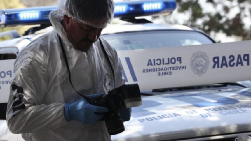 Encuentran osamentas que podrían ser de Luis Miguel Vera en Futrono