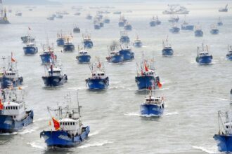 Flotas pesqueras chinas amenazan la fauna marítima en Chile: pesca ilegal y sobreexplotación