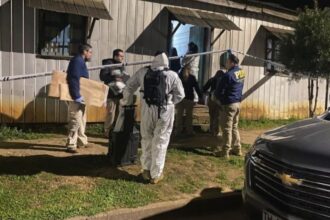 Macabro hallazgo de cadáver en Purén desata investigaciones y búsqueda de evidencias