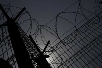 Hombre condenado a cárcel por homicidio durante cacería de conejos en Vilcún