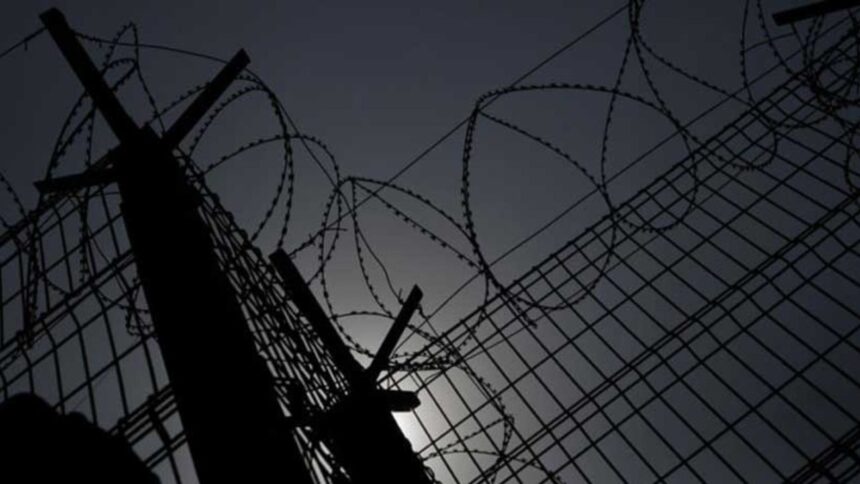 Hombre condenado a cárcel por homicidio durante cacería de conejos en Vilcún