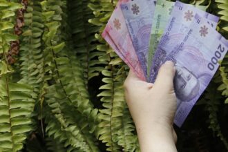 Ayudas estatales: Subsidio de Discapacidad en ChileAtiende para personas vulnerables