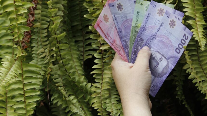 Ayudas estatales: Subsidio de Discapacidad en ChileAtiende para personas vulnerables