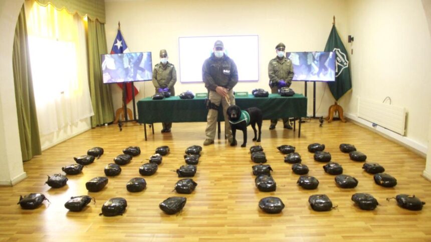 Detenidos en La Araucanía por traslado de 63 kilos de marihuana Creepy