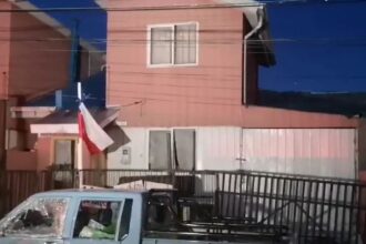 Trágico caso de maltrato animal horroriza a Punta Arenas