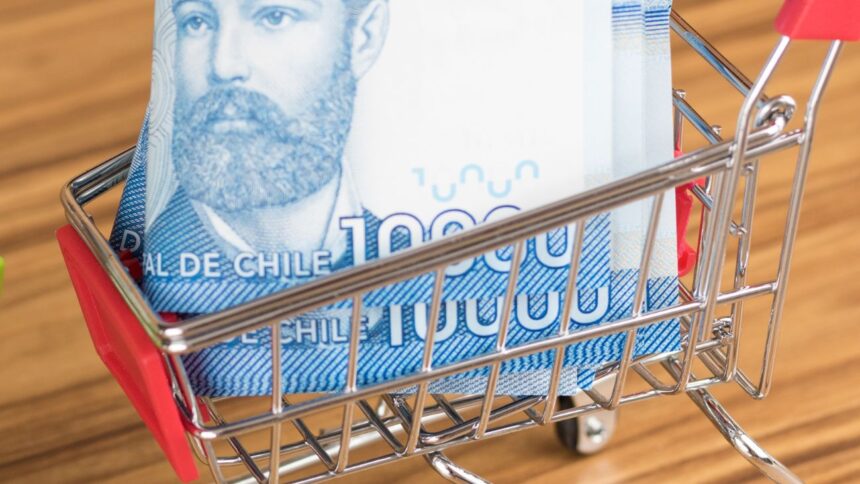 ¿Bolsillo Familiar Electrónico permanente? Ministro y CUT buscan su continuidad