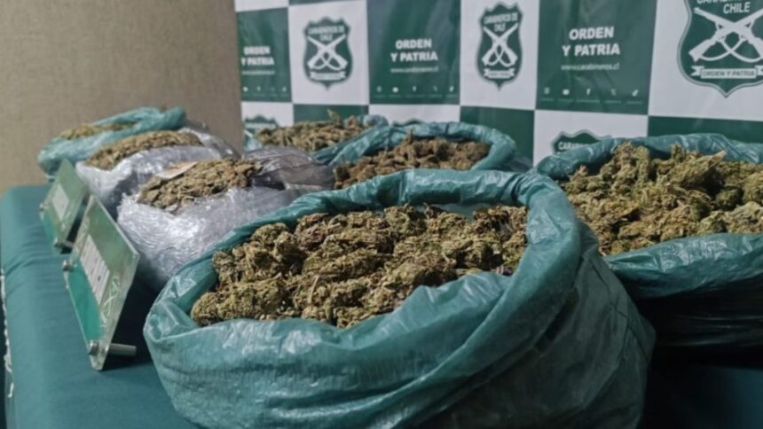 Conductor detenido por tráfico de drogas en La Ligua, Valparaíso