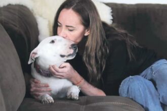 Dueña de bull terrier no sacrificará a su mascota tras fatal ataque