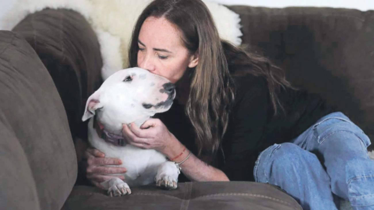 Dueña de bull terrier no sacrificará a su mascota tras fatal ataque