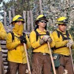 Proceso de postulación para brigadistas Conaf: requisitos y sueldos actualizados