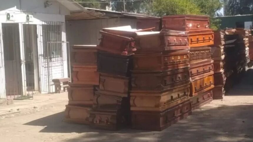 Hallazgo de restos humanos en Cementerio General: seremi declara irregularidad