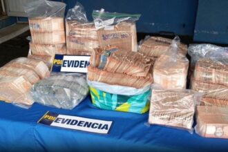 Desbaratan banda delictual por tráfico de drogas en Gran Concepción