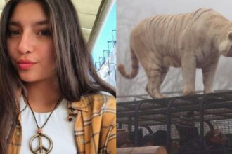 Juicio oral por muerte de Catalina Torres en Parque Safari