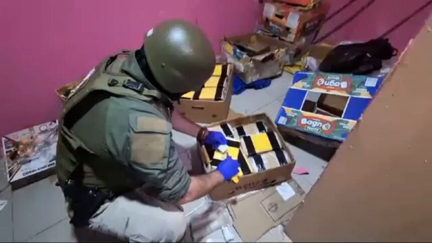 Incautación de droga y armas en operativo policial en Alto Hospicio