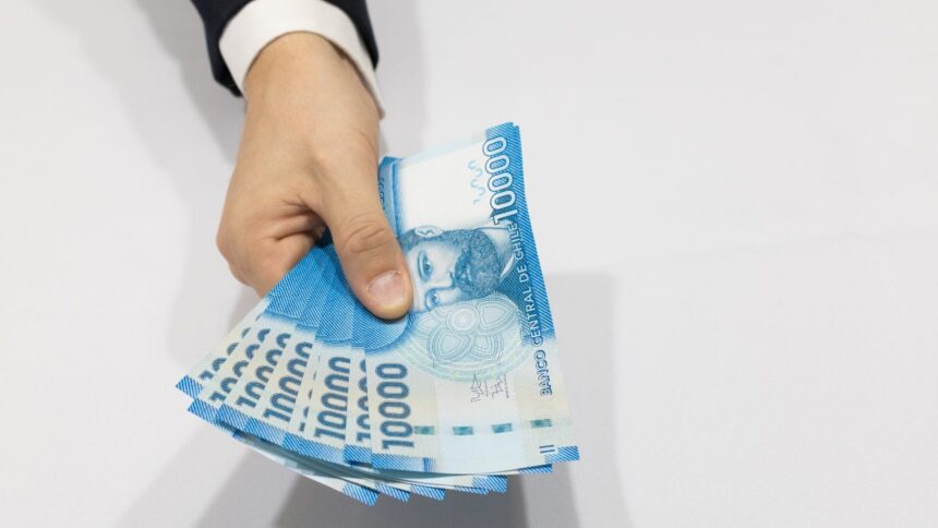 Bono de Protección: Montos, requisitos y cómo se paga el beneficio