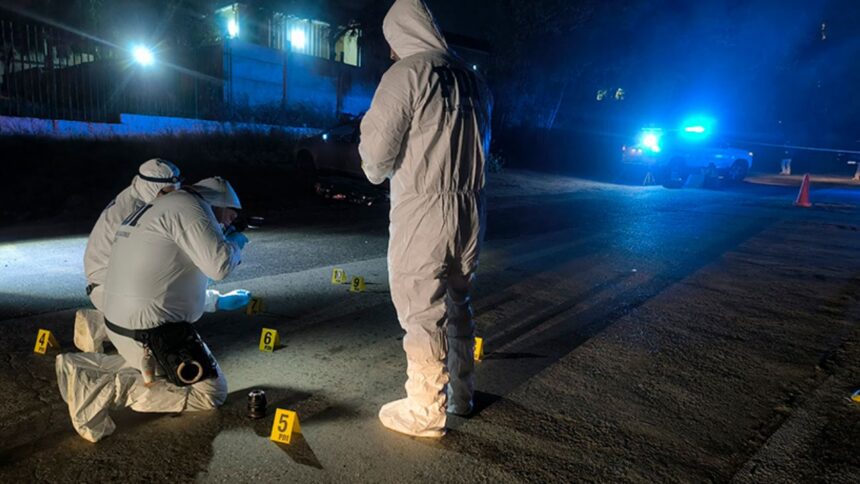 Detenidos por homicidio en Santuario Lo Vásquez: pareja fue acribillada