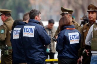 Mujer agredida con arma cortante en La Serena: estado crítico