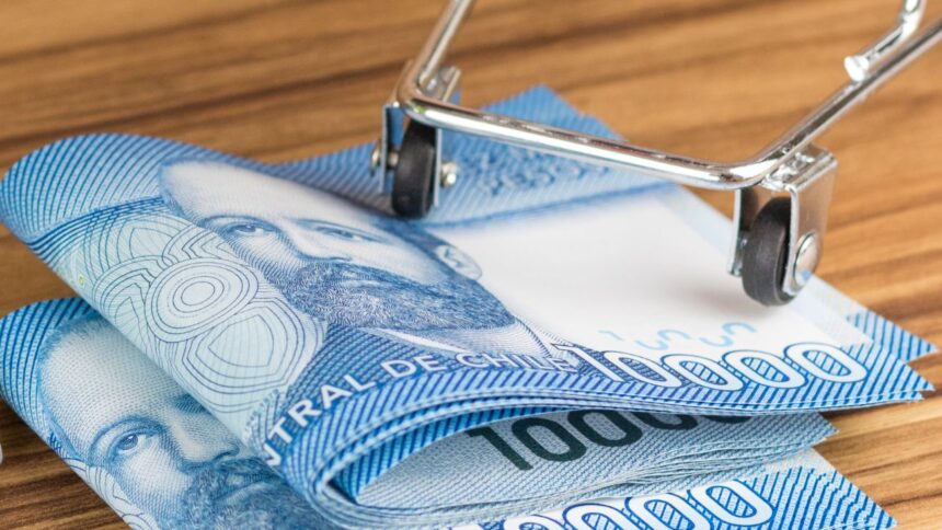 Parlamentarios buscan reincorporar y aumentar Bolsillo Familiar Electrónico: ¿Qué pasará?