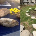 Incautados 150 fósiles en Coquimbo: Los utilizaba como ornamentación