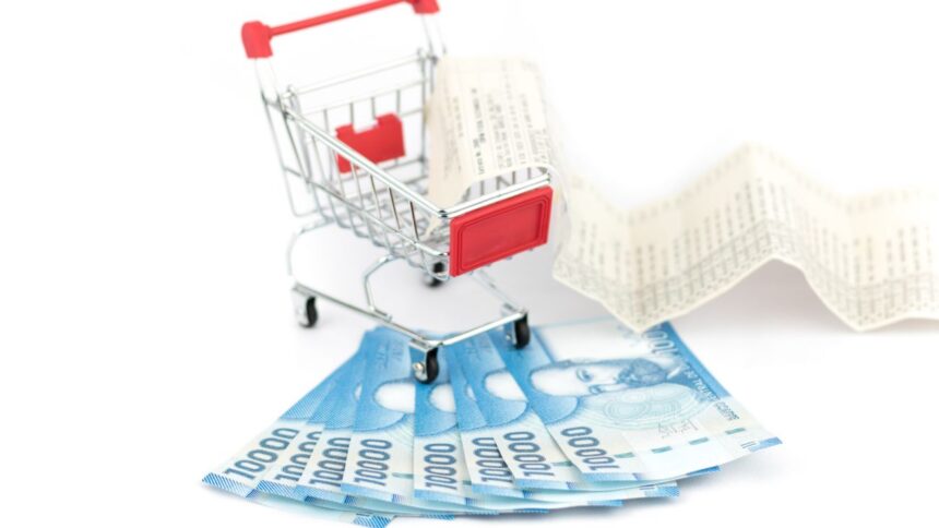 Futuro del Bolsillo Familiar Electrónico: posibles cambios y extensión