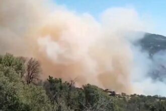 Alerta Amarilla en Paine por incendio forestal Águila Sur: se extiende peligro
