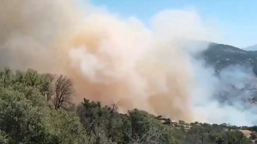 Alerta Amarilla en Paine por incendio forestal Águila Sur: se extiende peligro