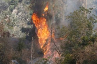 Alerta Temprana por Incendios Forestales: Altas Temperaturas en Santiago