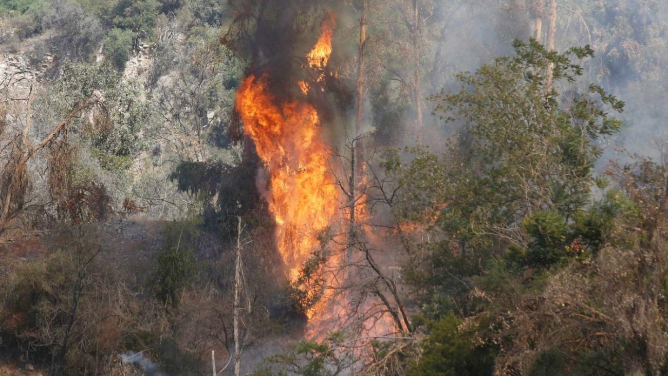 Alerta Temprana por Incendios Forestales: Altas Temperaturas en Santiago Alerta Temprana por Incendios Forestales: Altas Temperaturas en Santiago