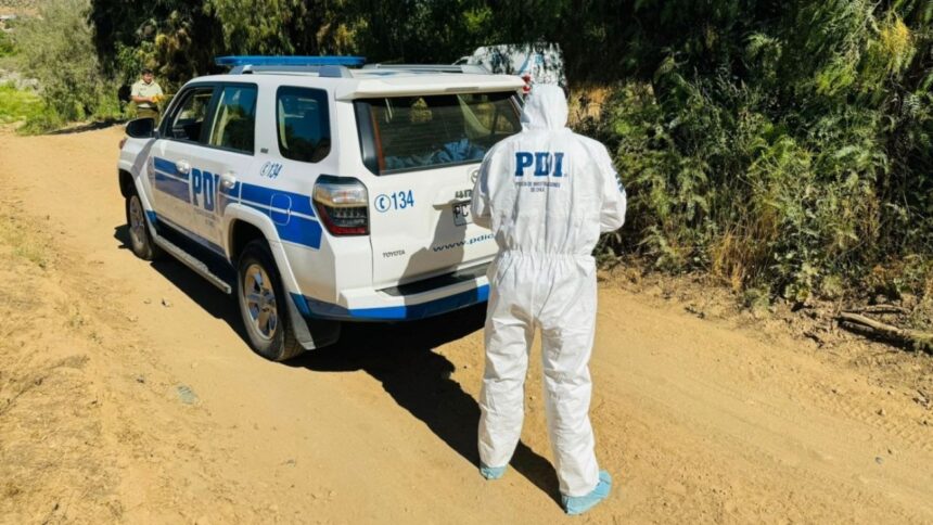 Hallan cadáver con lesiones atribuibles a terceras personas en Chañaral Alto