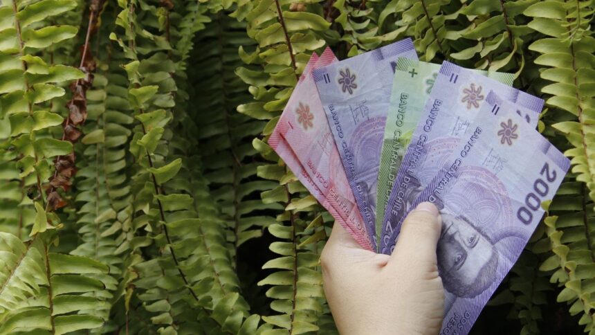 Posible aumento del sueldo mínimo en Chile para el 2025