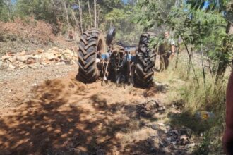 Trabajador de 74 años fallece aplastado por tractor en Cuncumén