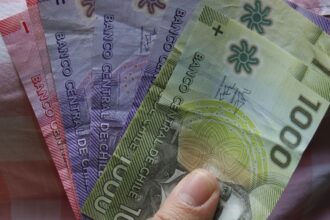 Beneficios estatales de noviembre: Conoce los bonos que se pagan