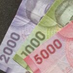 Inició el pago del Bono Mujer Trabajadora: revisa con tu RUT si te corresponde