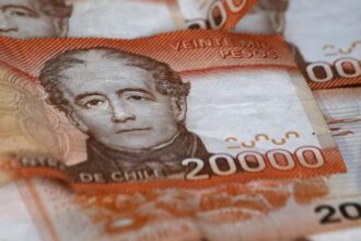 PGU de noviembre: revisa con tu RUT la próxima fecha de pago