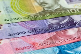 IPS Chile: Consulta con tu RUT tus Bonos no cobrados