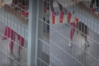 Cathy Barriga en prisión preventiva: Detalles de su vida carcelaria