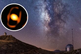 Hallazgo astronómico: estrella gigante en la Gran Nube de Magallanes