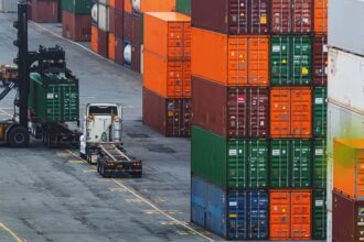 Supervisión exitosa de operativos en Puerto de San Antonio por autoridades