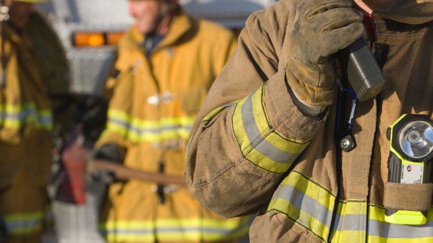 Plan Nacional de Cortafuegos: Fortalecen prevención de incendios en La Araucanía