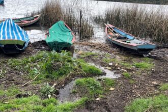 Declarada Zona de Riesgo Sanitario Localidad de Puerto Domínguez por Contaminación en Lago Budi