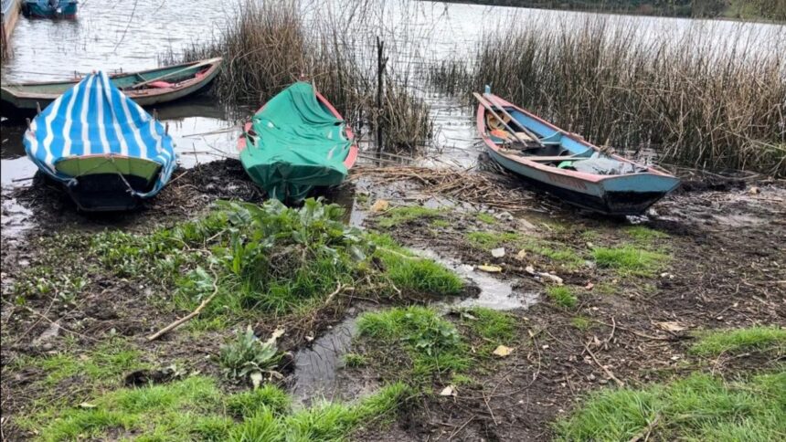 Declarada Zona de Riesgo Sanitario Localidad de Puerto Domínguez por Contaminación en Lago Budi